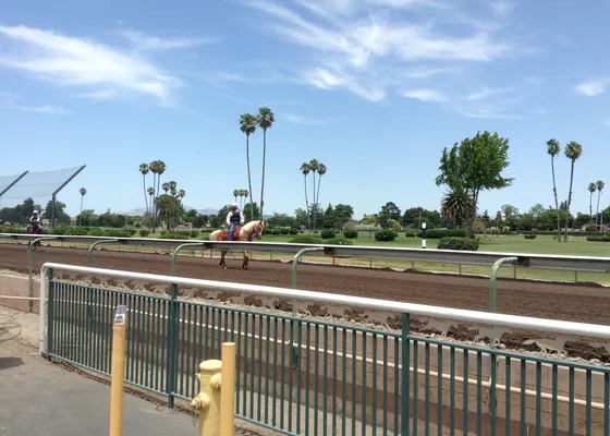 A horse rounds the turn at a county-fair race track.
