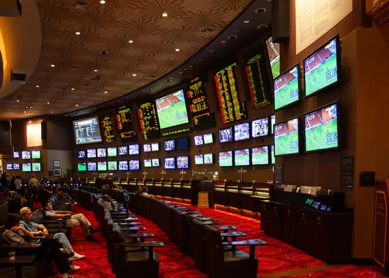 Bettors watch the board at a casino sportsbook.