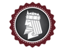 Casino Kings Casino logo